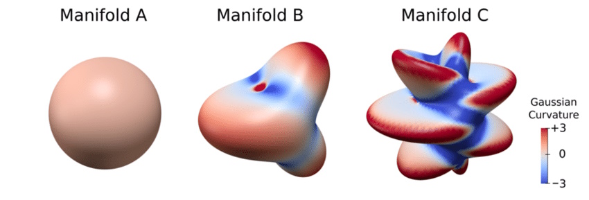 Maneo manifold